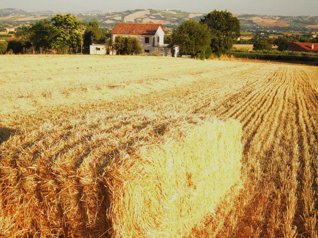 Agriturismo Ponterosa Morrovalle Zewnętrze zdjęcie